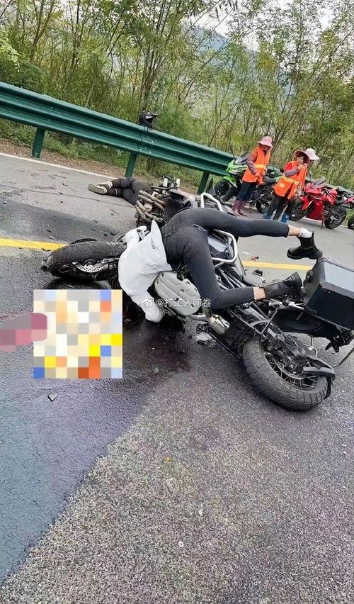 网红燕子车祸视频,网友热议安全出行警钟长鸣