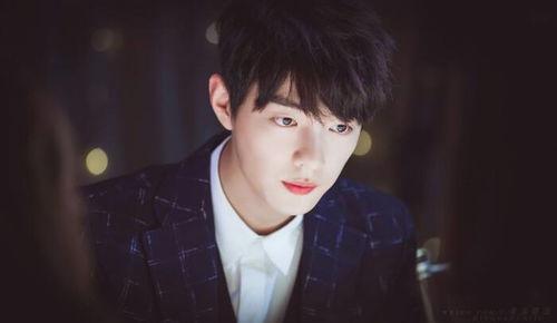 娱乐圈吃王一博肖战的瓜